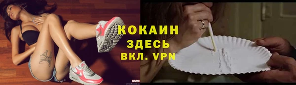 ПСИЛОЦИБИНОВЫЕ ГРИБЫ Баксан
