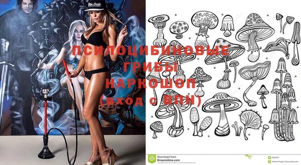 ПСИЛОЦИБИНОВЫЕ ГРИБЫ Баксан
